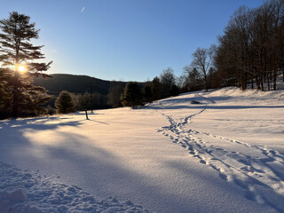 Fototapeta na wymiar Vermont Pasture In Winter