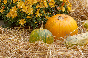 Herbstdekoration