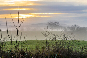 Obraz premium Bare branches on a misty winter dawn in Irthington, Cumbria, England UK