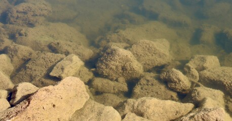 A close view of the clear water and the rocks underwater.