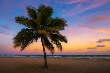 Fototapeta na wymiar Beach palm and twilight skies over Punta Cana Beach in the Dominican Republic