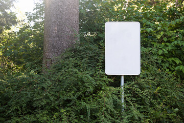 Empty blank sign board on a pole in a forest