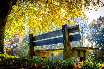 bench at a park