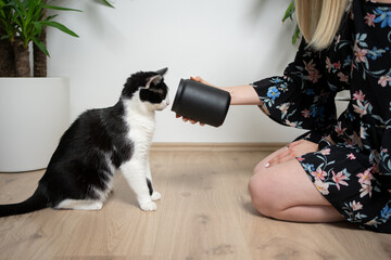 female cat owner kneeling on the floor showing black treat jar to tuxedo kitty that's looking...