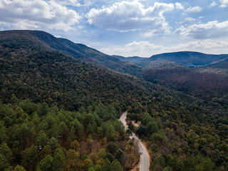 Drone view of a road crossing the woods