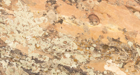 Still life background