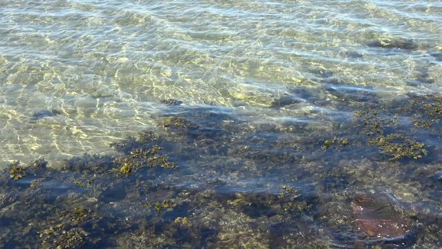 Low Angle View On Water Waves At The Coast Of A Baltic Sea Beach On A Sunny Day.