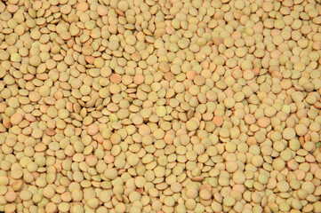 lentil groats close-up. peas for cooking. the concept of cooking porridge.
