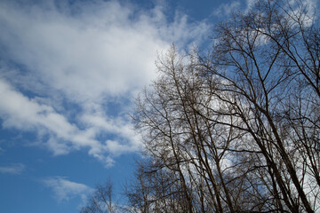 Fototapeta na wymiar Spring sky with clouds.Beautiful sky. Sky background.