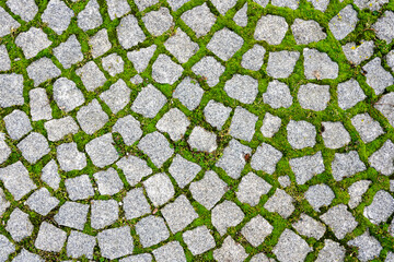 grass grows through the slits in the pavement granite stones