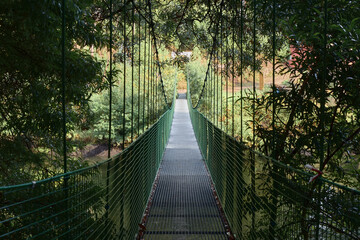 Obraz premium Longitudinal view of a suspension bridge surrounded by forest or jungle vegetation. The bridge crosses the Tambre river in Galicia, Spain.