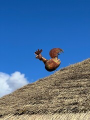 rooster on the roof