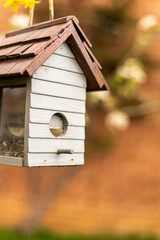 Bird feeder in shape of a little house with glass on sides to see birds eating from it. Birdhouse made out of wood in white and brown, bird house for small songbirds only.