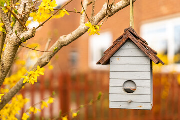 Bird feeder hanging on a decorational shrub with yellow flowers, birdbox in shape of a little house seen from the front. Birdhouse made out of wood in white and brown.