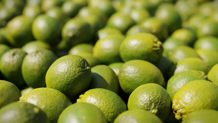 limes, juicy citrus fruits background