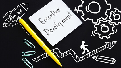 Executive Development is shown sing the text