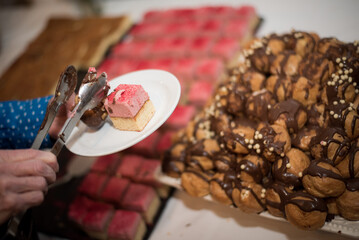 Finger Buffet Catering Food for Birthday or Wedding Reception Party