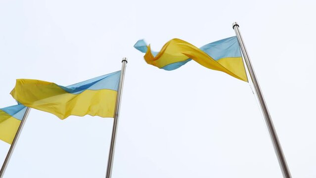 flags of ukrain blowing in the wind 30fps 4k
