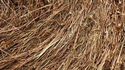 A stack of pressed hay. The photo can be used as a texture background.