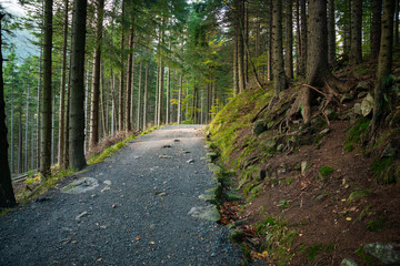 View of the mountain trail during wet autumn weather