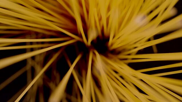 SUPER SLOW MOTION, CLOSE UP, PROBE LENS: Top down view of falling spaghetti on black background in slow motion. Falling spaghetti close up. Detailed view of scattered raw pasta.