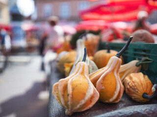 Zagreb, Croatia - September 1, 2021: Dolac Market. Some pumpkins are exposed in a market full of people and products.