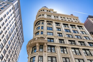 Fototapeta premium creative