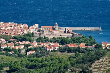 Fototapeta na wymiar Wine, sea and city of Collioure