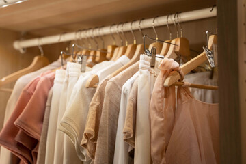 clothes, t-shirts, dresses hang on a hanger in the home closet