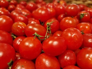 Set of red tomatoes