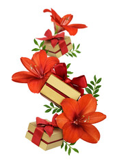 Levitation of gift boxes with red amaryllis flowers isolated on white