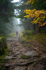 Mum and her little son go on a mountain trail in wet autumn weather. They are accompanied by a dog.