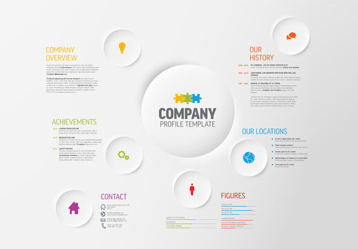 Simple Company Infographic Profile Overview Design Template