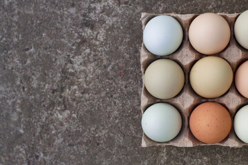 blue and brown farm eggs in a carton box with top view
