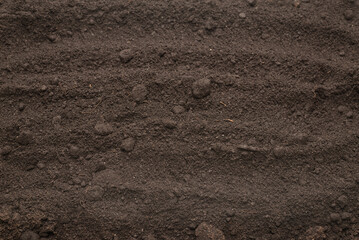 Black land for plant background. Top view.