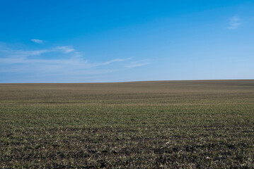 Ploughed field and blue sky as background.