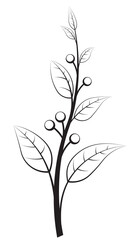 Elegant floral branch with berries. Vector illustration for your design.