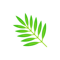 tropical Leaves graphic design vector