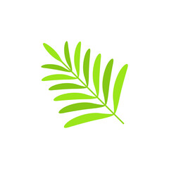 tropical Leaves graphic design vector