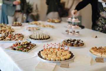 Delicious dessert buffet at a wedding reception in Germany