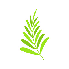 tropical Leaves graphic design vector