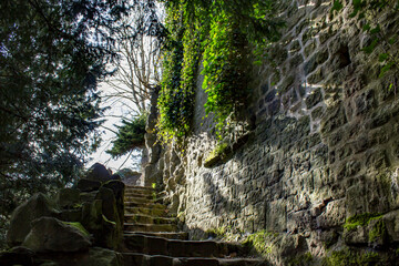 Green Ivy Vines Grow Down an Ancient Rock Wall with a Staircase Carved into It at the Municipal Park in Luxembourg City, Luxembourg