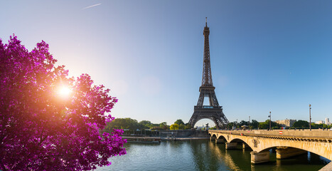 Fototapeta na wymiar Paris street with view on the famous paris eiffel tower on a sunny day with some sunshine