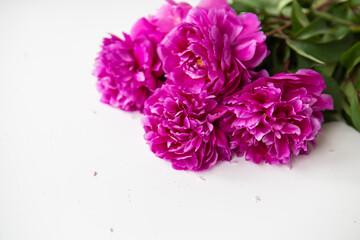 Beautiful bouquet of pink peonies. The concept of the work of a florist in a flower shop. Place for an inscription.