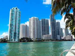 Fototapeta na wymiar Buldings and palm trees in Bayfront Park in Miami Florida USA