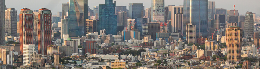 Fototapeta premium 東京の風景
