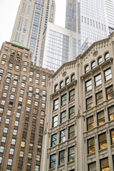 Fototapeta premium creative