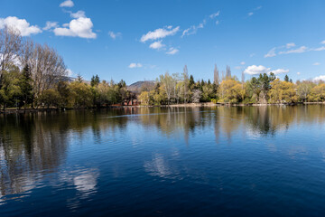 reflection of trees in water