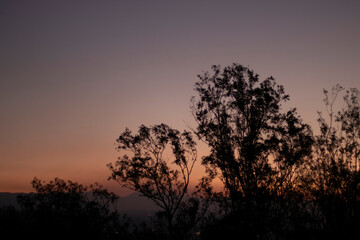 Atardecer &aacute;rboles
