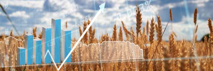 Global and European grain and wheat crisis after Russia's invasion of Ukraine. Ukraine and Russia...
